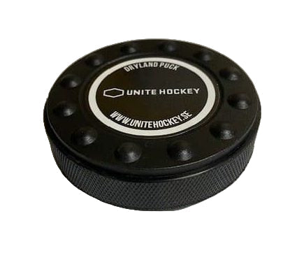 Dryland Hockey Puck